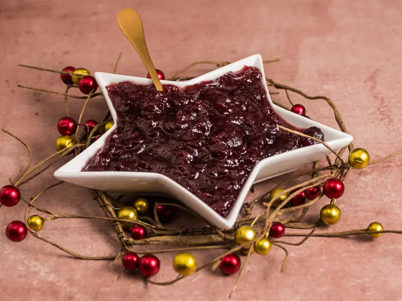 Salsa de Cranberries