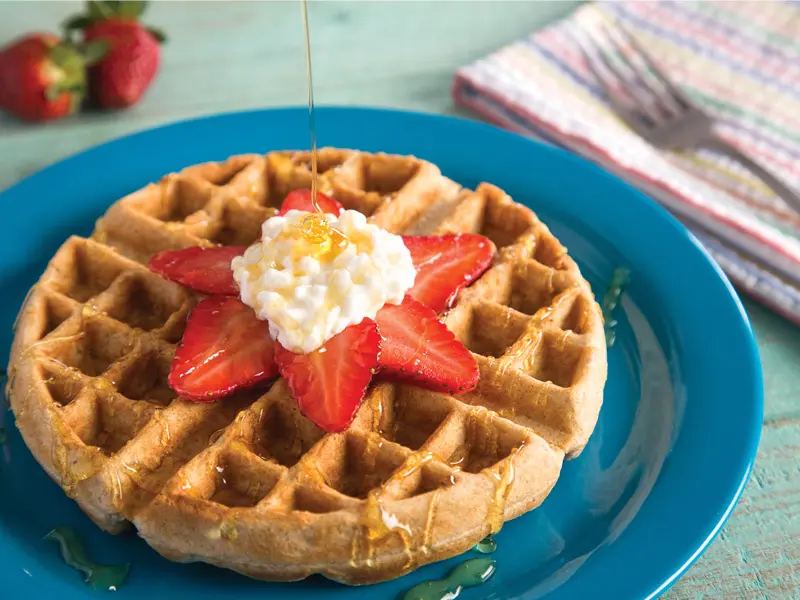 Waffles Integrales