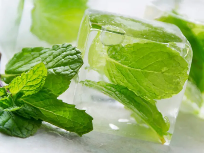 Tips para conservar las hierbas frescas